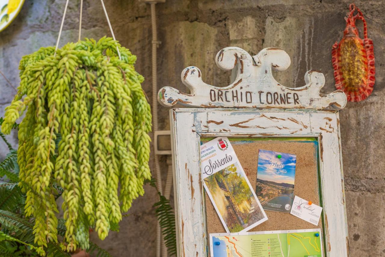Orchid Corner Guesthouse 메타 외부 사진