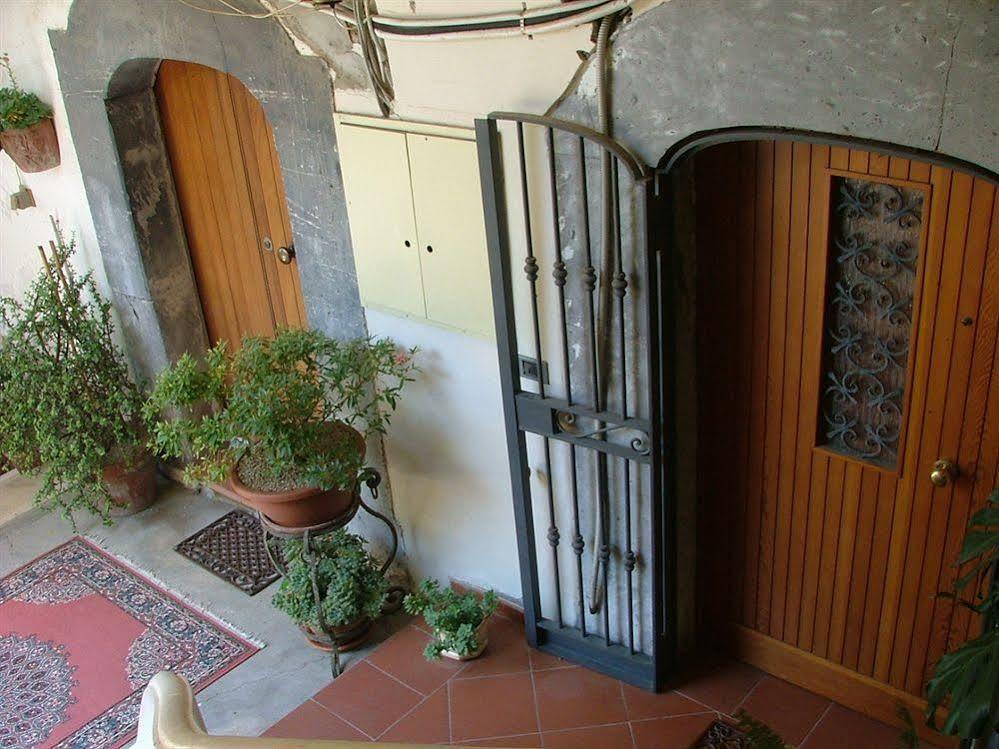 Orchid Corner Guesthouse 메타 외부 사진